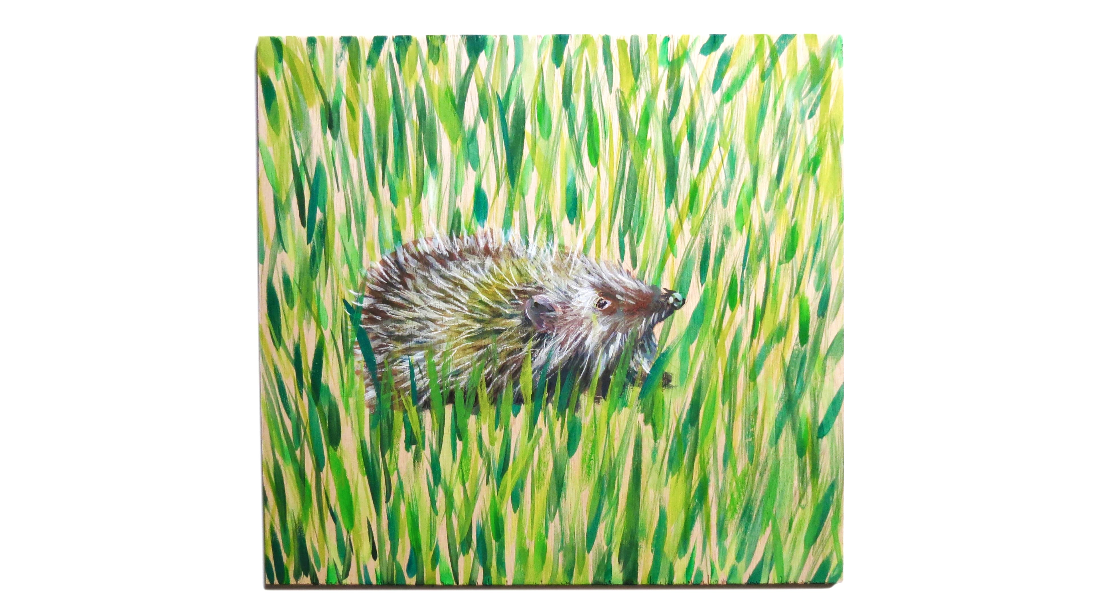 Hedgehog I / Erizo I