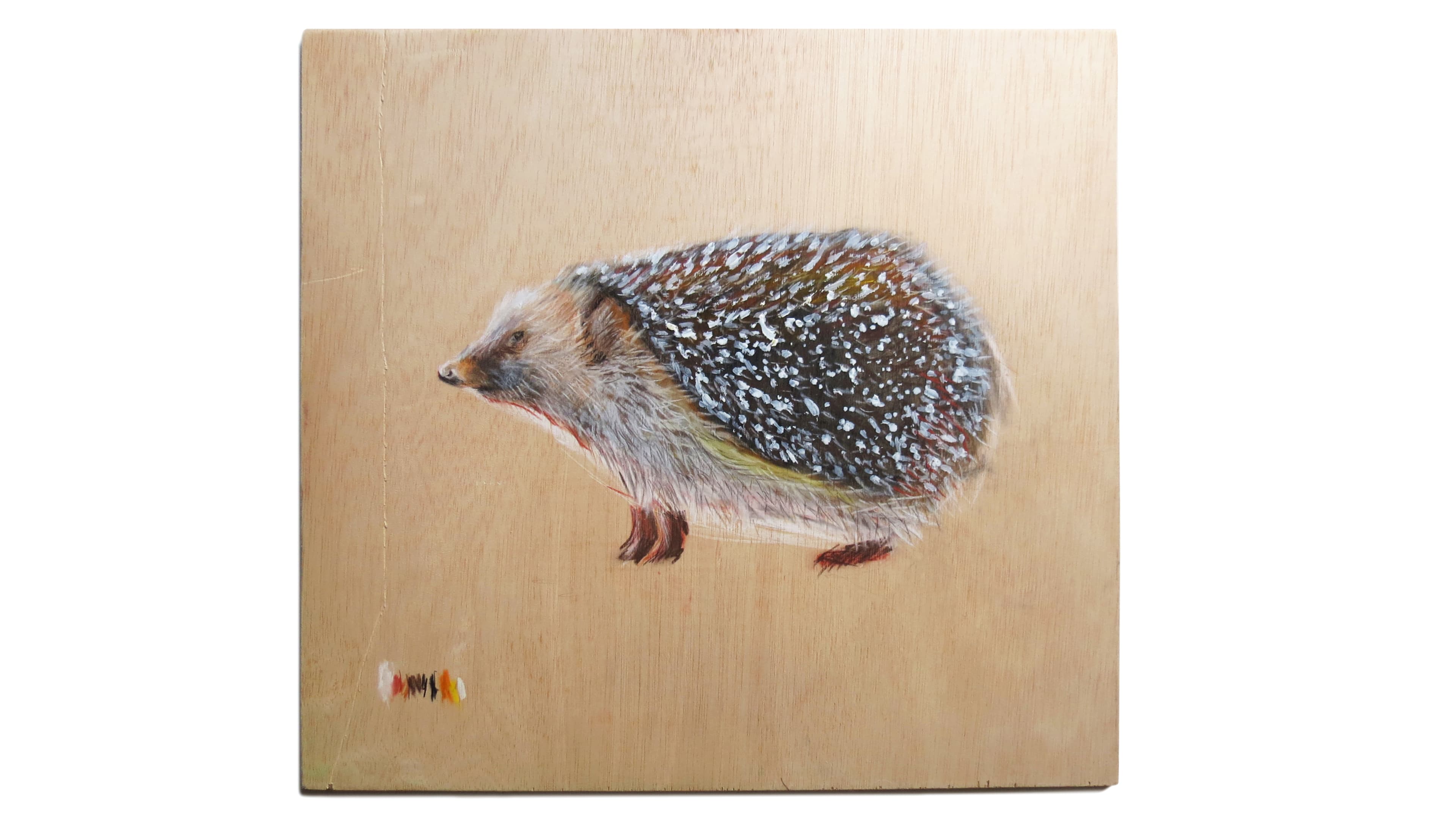 Hedgehog II / Erizo II - ForLoveAtArt