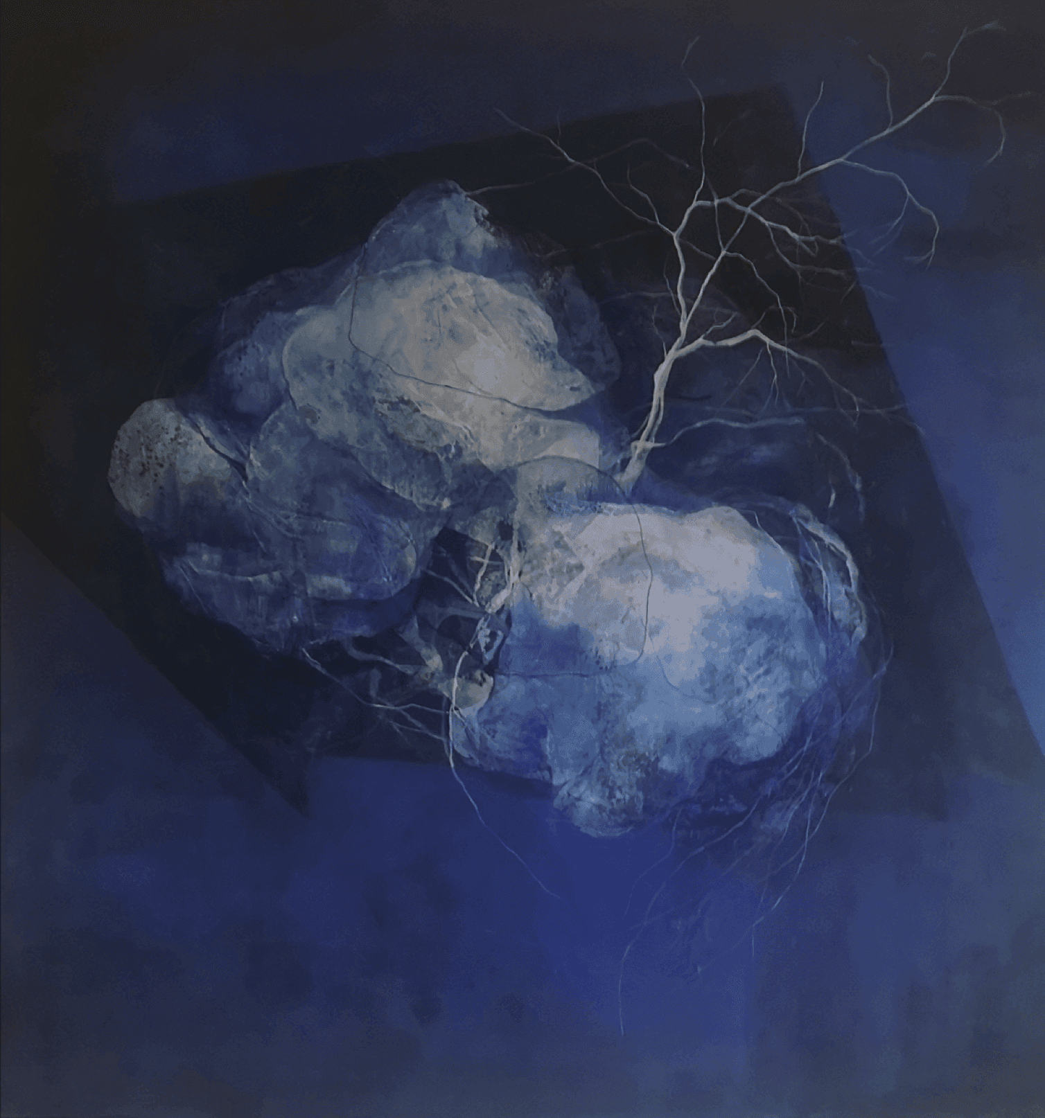 Luna de noche - ForLoveAtArt