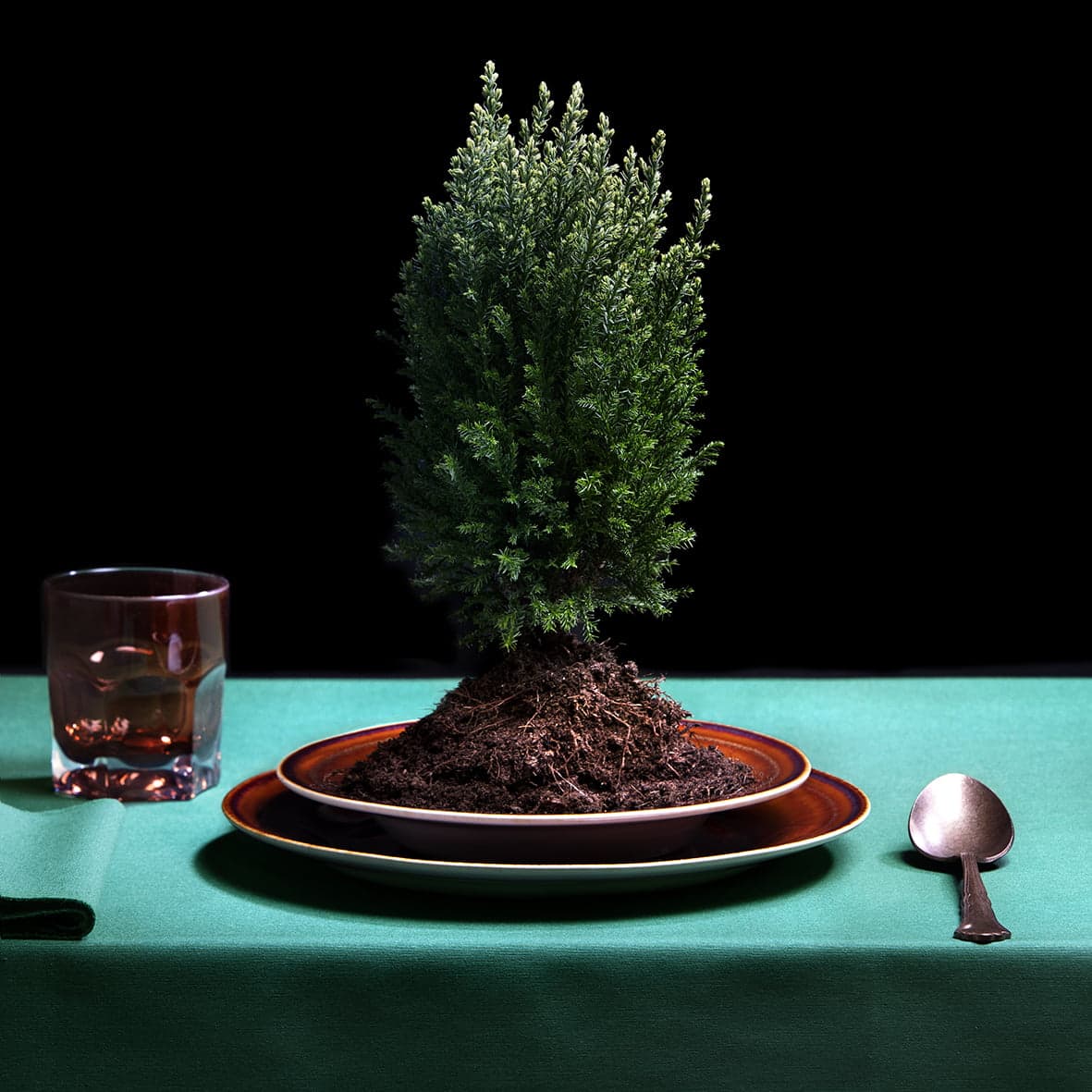 Suppe Nummer 4 _ Arbol plantado_ Gemüsesuppe