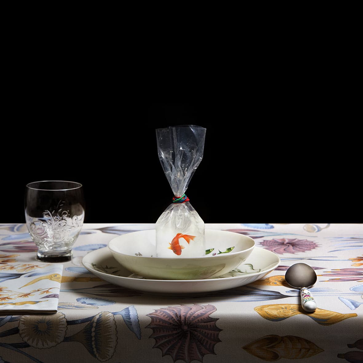 Suppe Nummer 13 _ pez en bolsa_ fischsupe