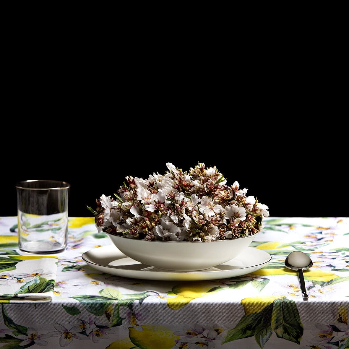 Suppe Nummer 23 _ flores de primavera_ Frühlingssuppe