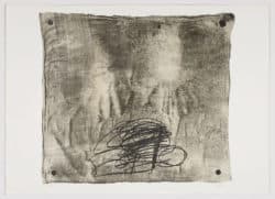 Chase ficeleé, variations IX