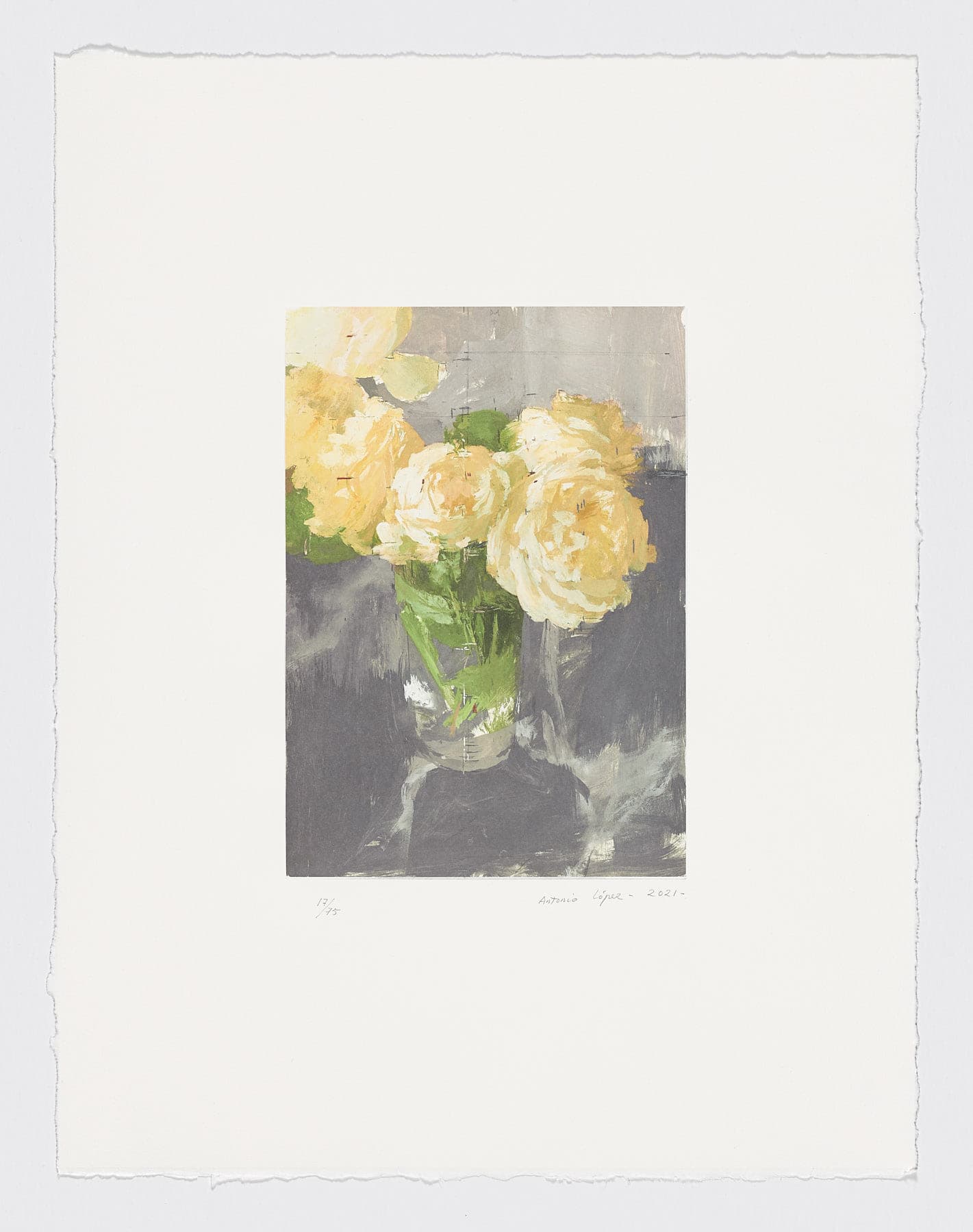 Rosas de invierno