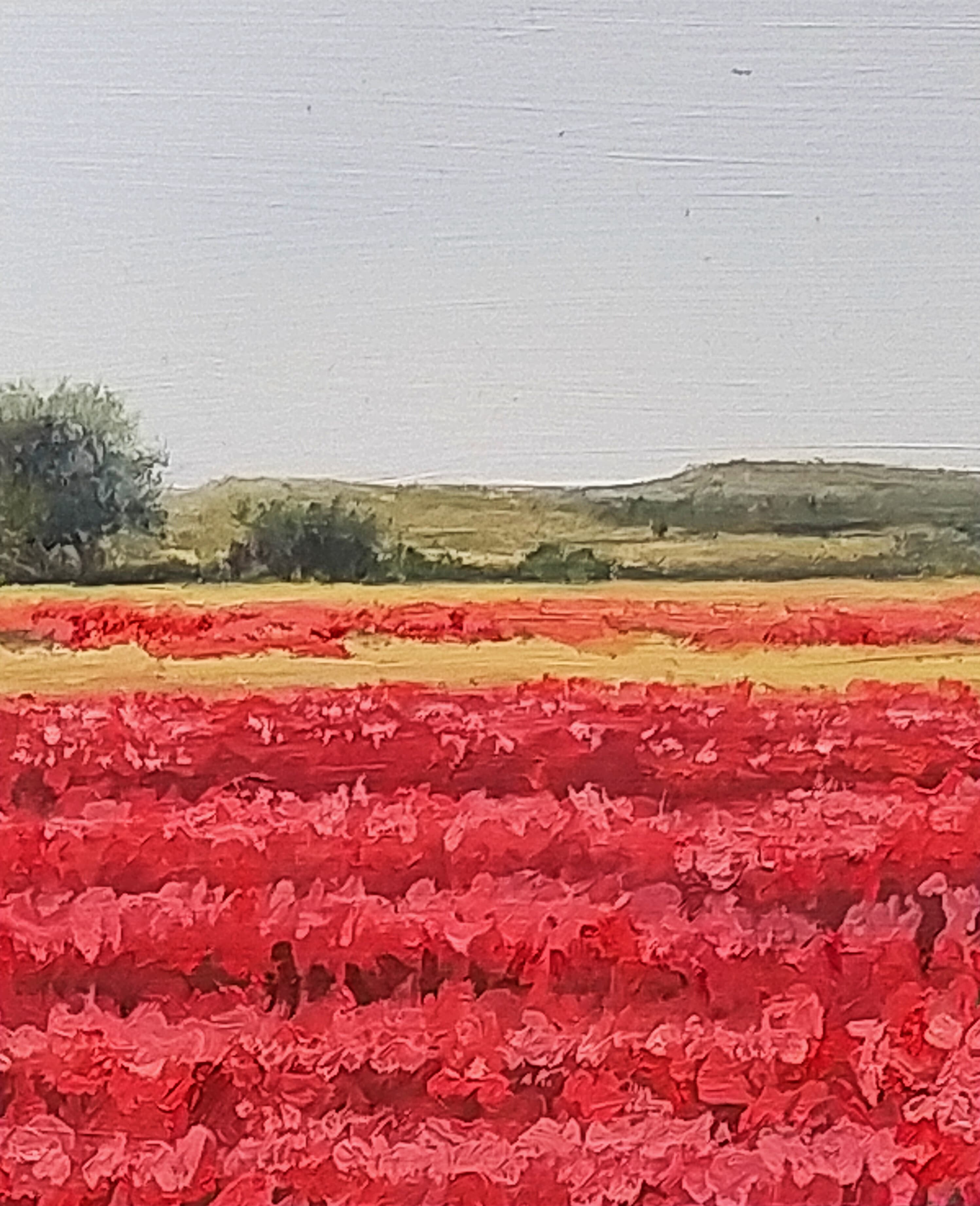 Amapolas en Camino de San Román I - miniatura 4