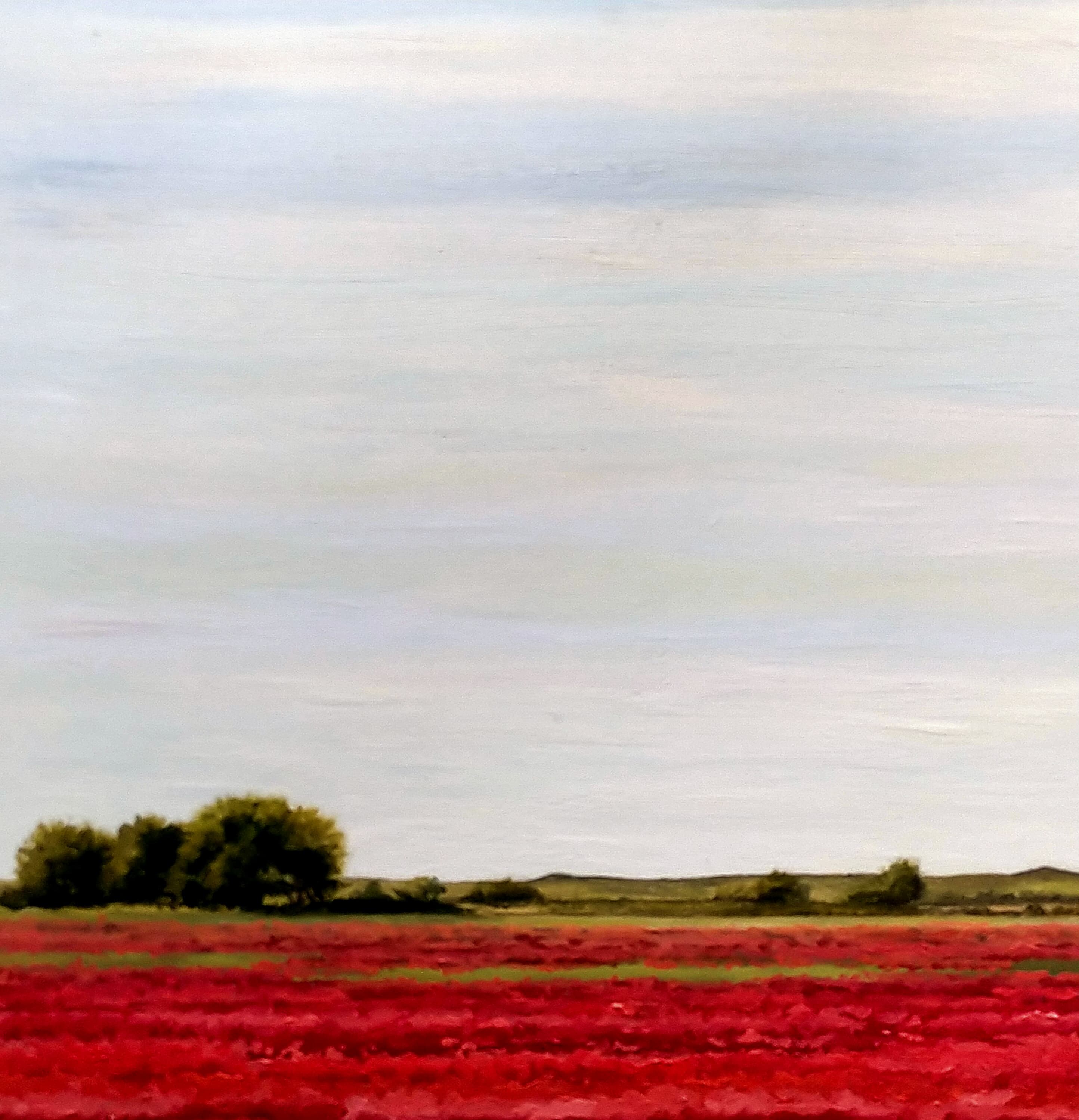 Amapolas en Camino de San Román II - miniatura 2