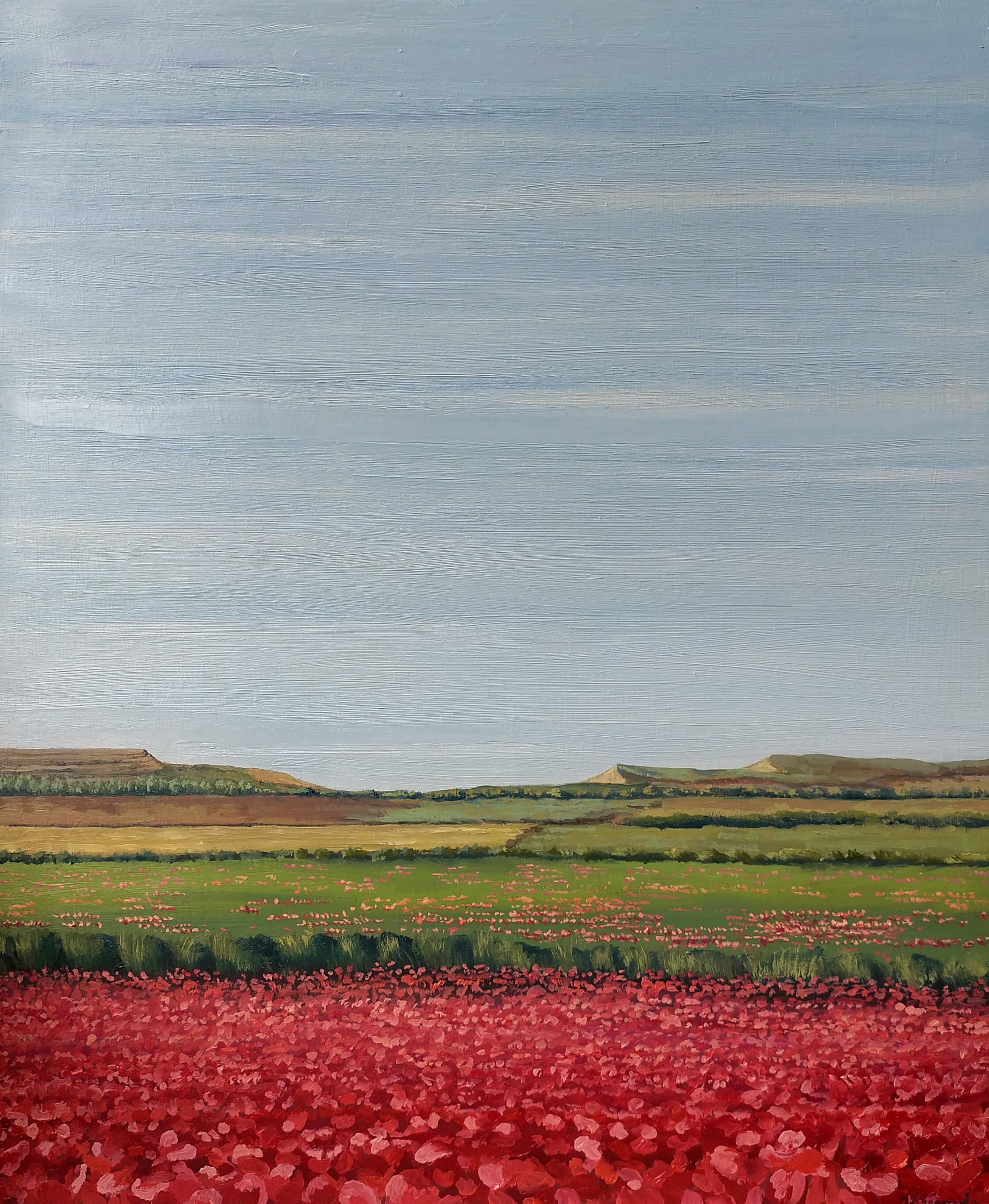 Amapolas en el Cerrato I I - ForLoveAtArt