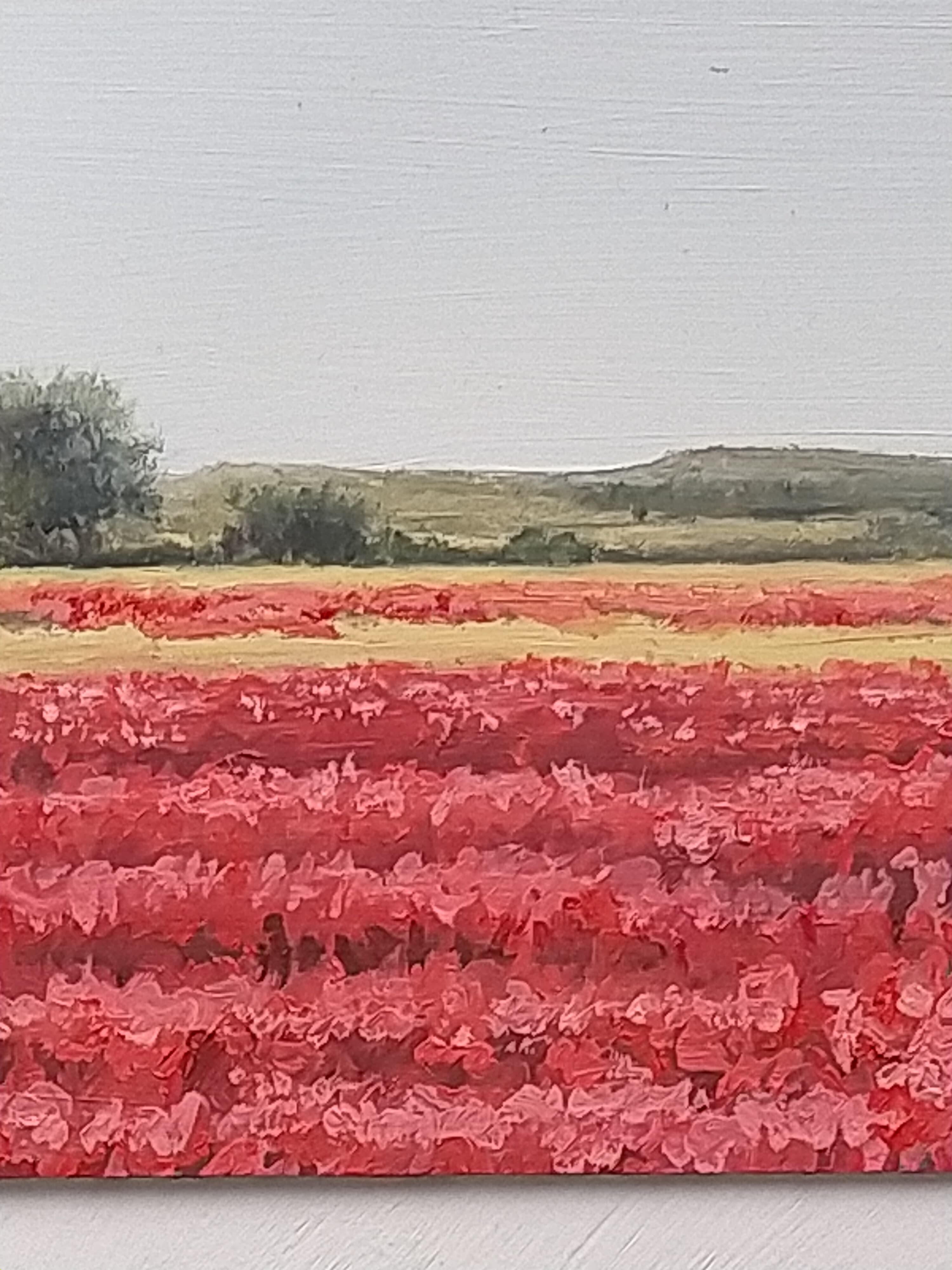 Amapolas en Camino de San Román I - miniatura 2