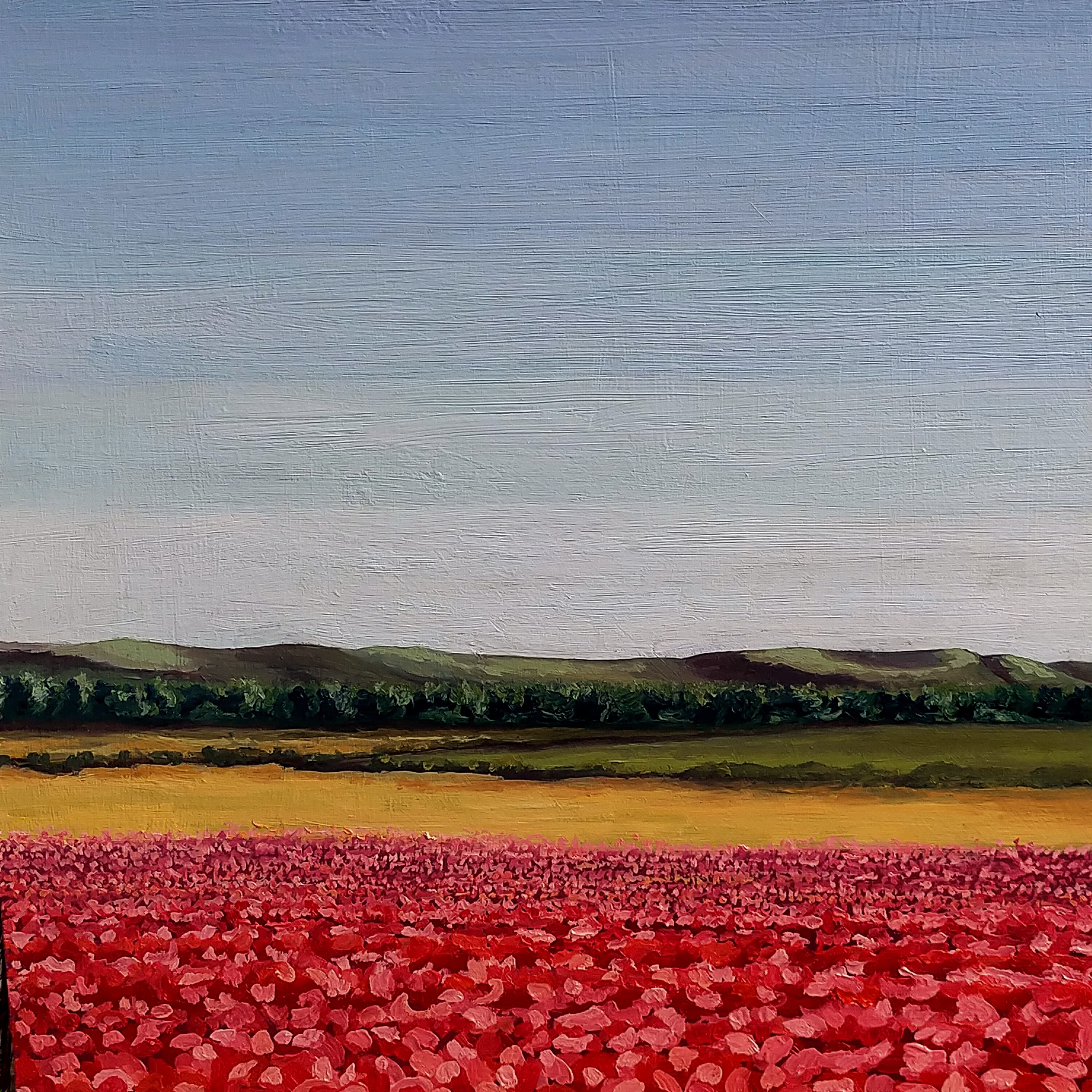 Amapolas en La Vega - miniatura 2