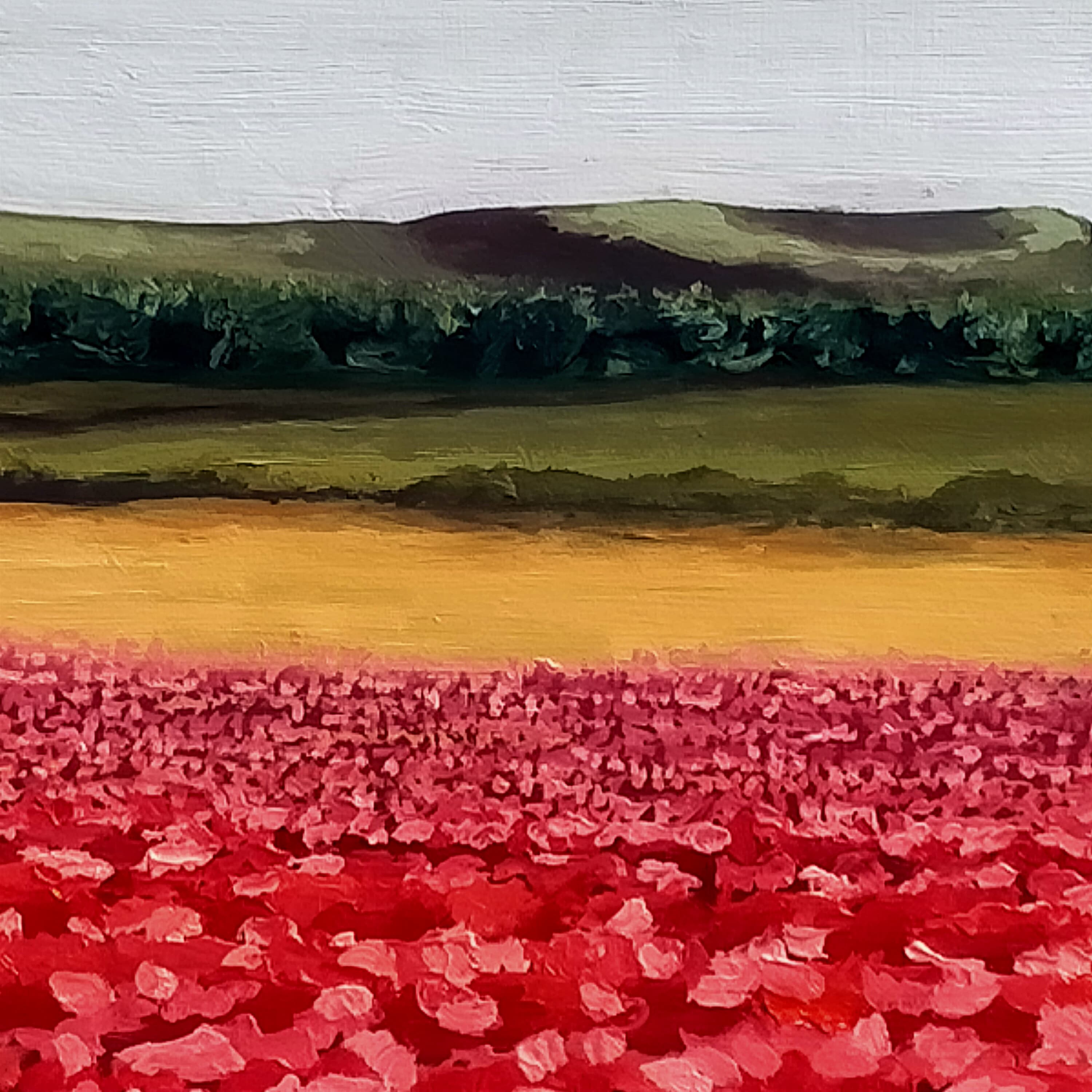 Amapolas en La Vega - miniatura 3
